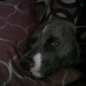 Meet your Posher, Angela